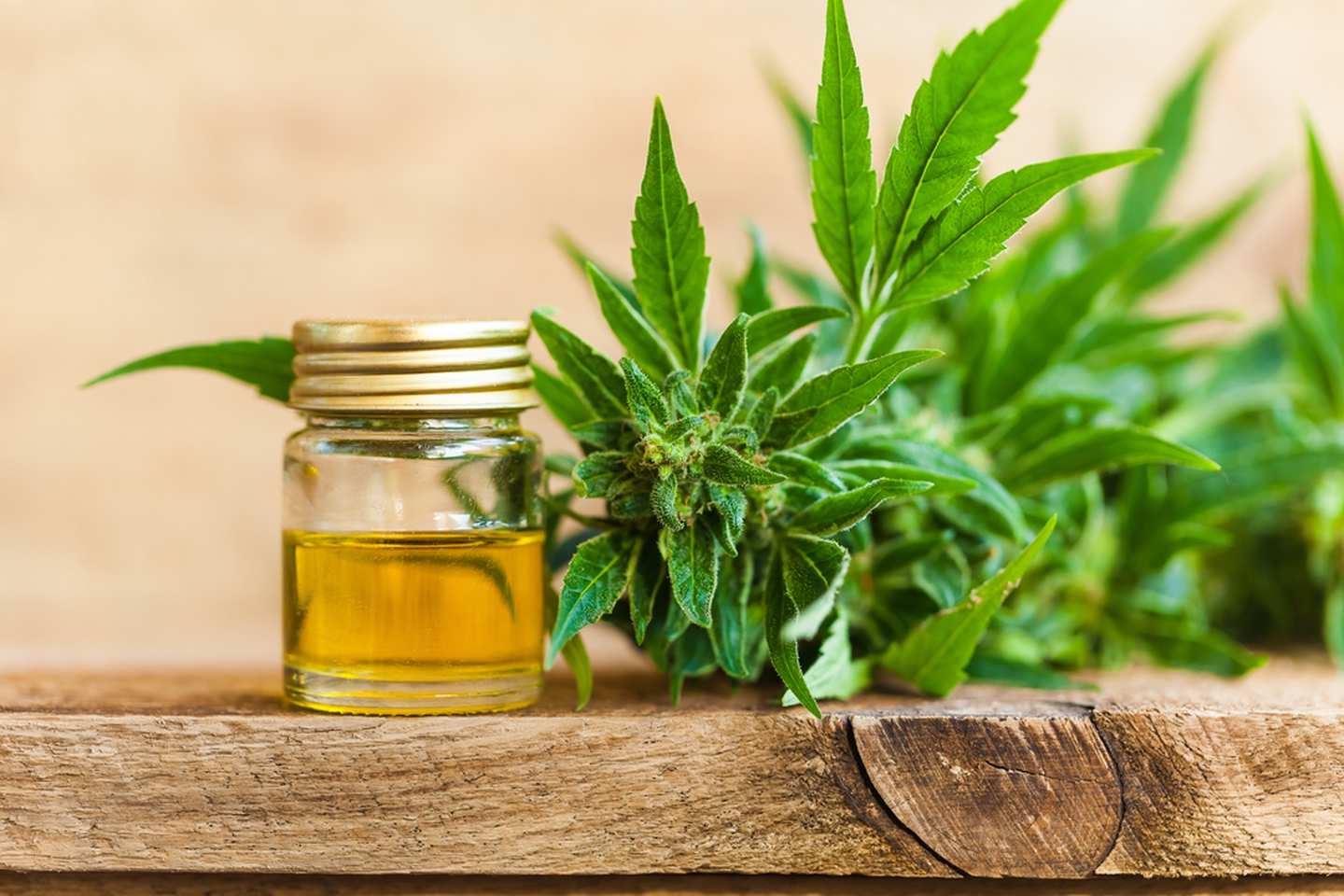 American Hemp Oil