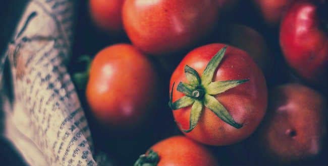 tomato ketogenic diet