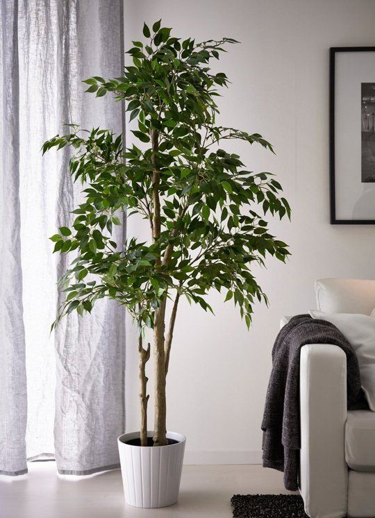 LARGE ARTIFICIAL PLANTS