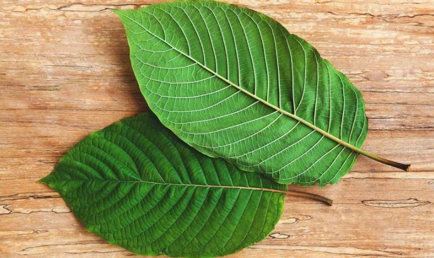 Best Kratom